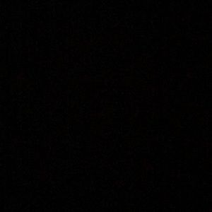 Meet your Posher, Shanna